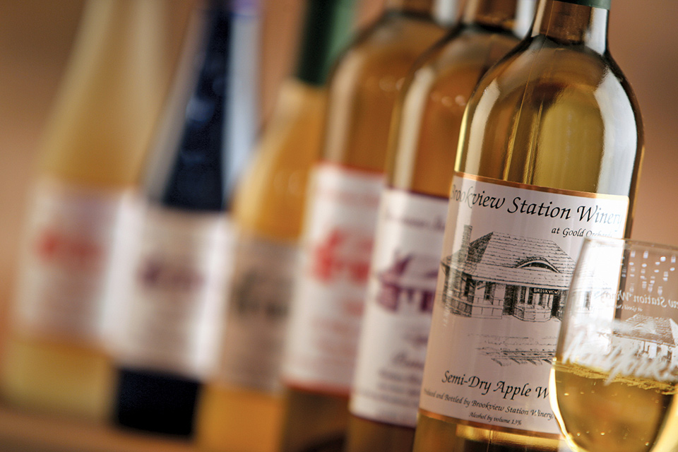 Assorted bottles of fruit wine from Brookview Station Winery
