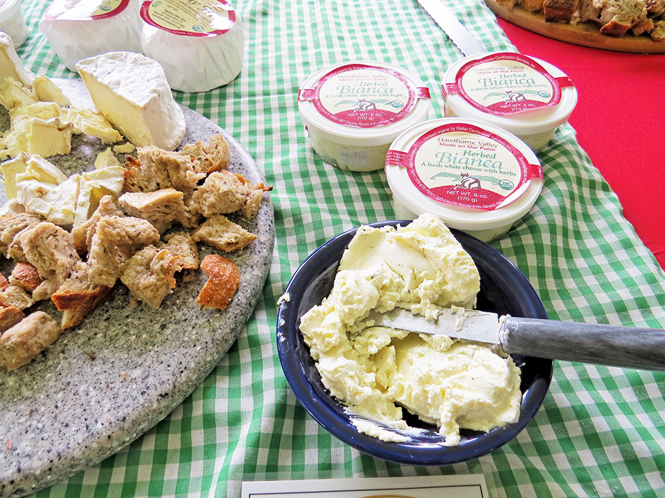 Table with assorted cheese and bread