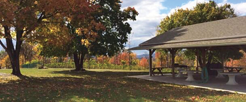 Demarest Winery