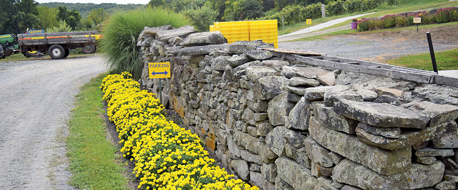 Rock wall at Glorie Farm