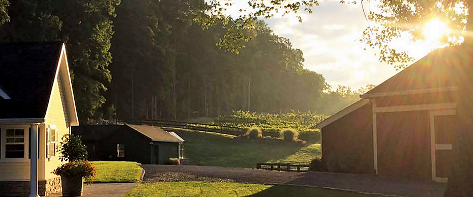 Image of barn and house at Milea Estate