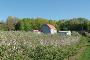 view of vineyard and buildings at Glorie Farm Winery