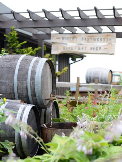 View of wine barrels and flowers, with tasting room signs at Benmarl Winery.