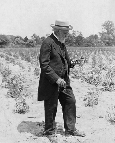 vintage photograph of Stephen Underhill on farm holding plant