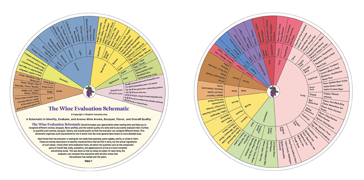 front and back of wine tasting wheel
