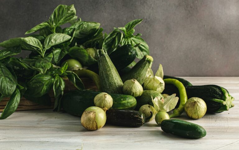 fresh zucchini and summer dishes