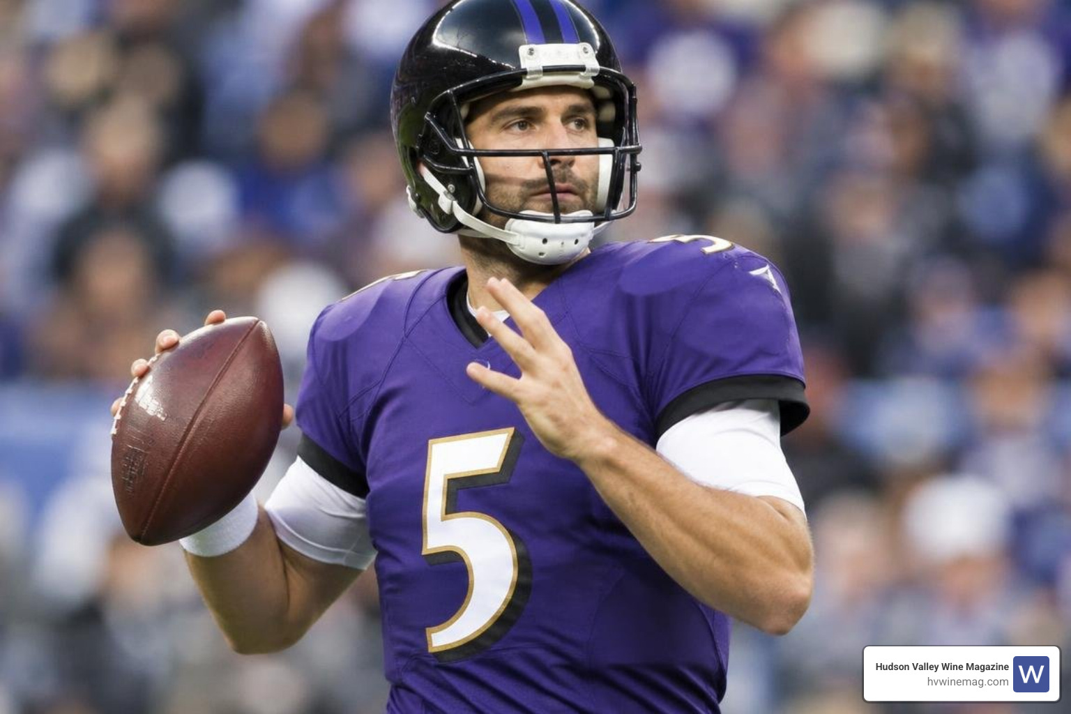 Joe Flacco passing downfield